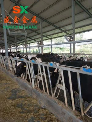 వ్యవసాయ గొడ్డు మాంసం పశువుల స్టాల్