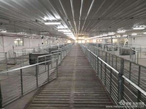 తాగుబోతుతో పిగ్ గర్భధారణ క్రేట్